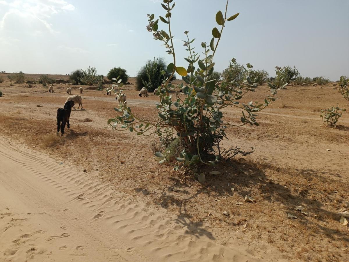 Hotel Relax Inn Jaisalmer Bagian luar foto