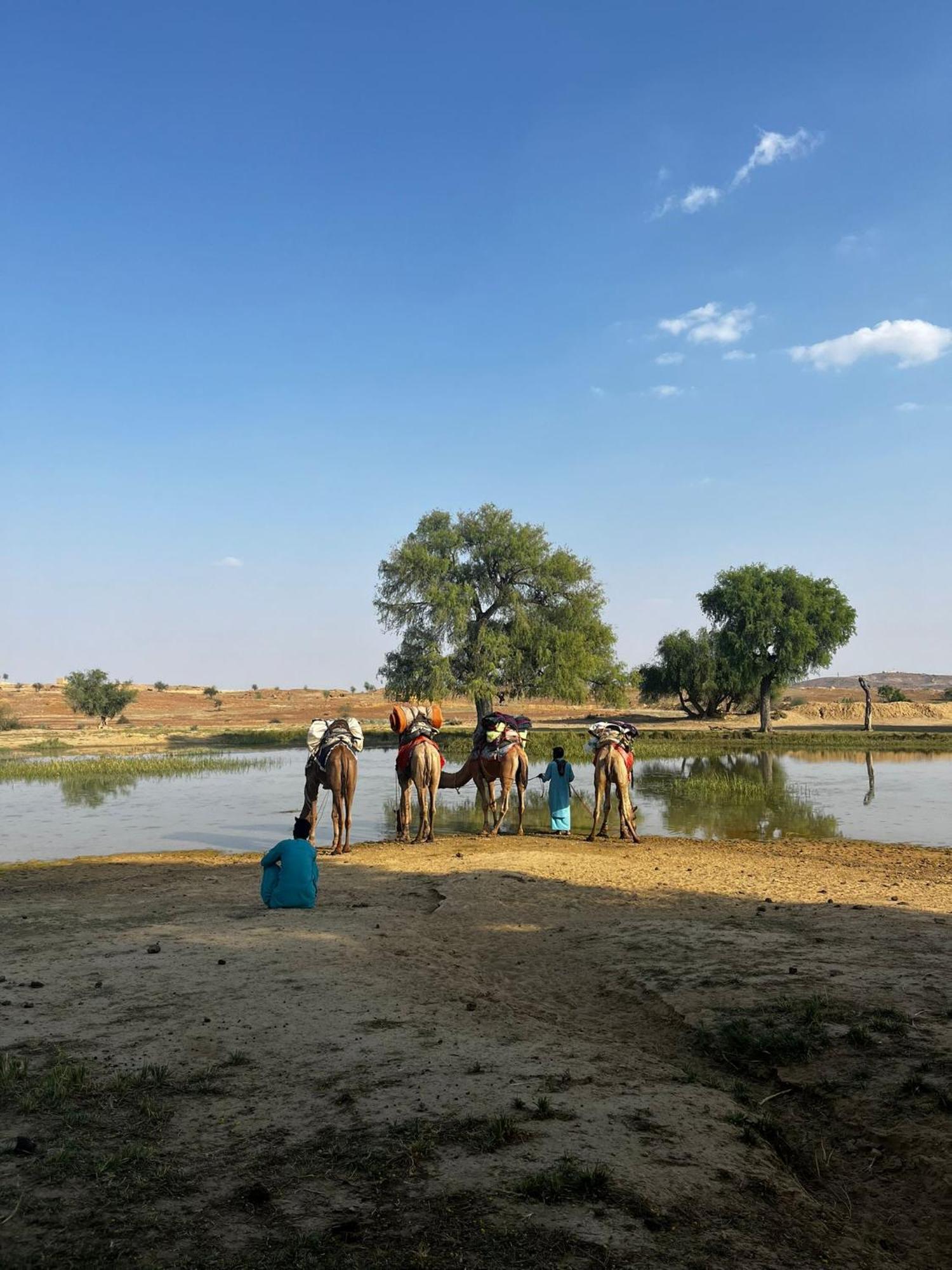 Hotel Relax Inn Jaisalmer Bagian luar foto